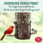 Squirrel-Proof Large Wild Bird Feeder - 4LB Capacity