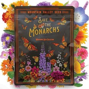 Wildflower Seeds Bulk - 100,000 Non-GMO Mix
