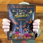 Wildflower Seeds Bulk - 100,000 Non-GMO Mix