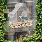 Clear Window Bird Feeder with Strong Suction Cups