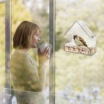 Clear Window Bird Feeder with Strong Suction Cups