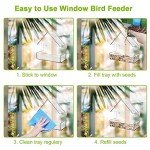 Clear Window Bird Feeder with Strong Suction Cups