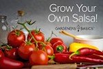 Heirloom Salsa Seed Pack: 8 Pepper & Tomato Varieties