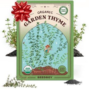 Organic Thyme Herb Seeds for Indoors or Outdoors