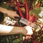 Fiskars Heavy Duty Hori Hori Garden Knife