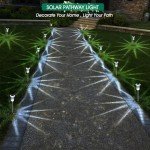 10 Waterproof Solar Lights for Pathways and Gardens