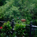 Hanging Metal Mesh Bird Feeder for Gardens