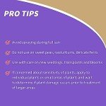 Bonide Insecticidal Soap Spray for Gardens, 32 oz