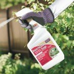 Bonide Insecticidal Soap Spray for Gardens, 32 oz