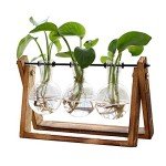 Wooden Stand Hydroponic Glass Terrarium Vase
