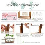 Wooden Stand Hydroponic Glass Terrarium Vase