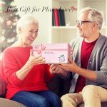 Wooden Stand Hydroponic Glass Terrarium Vase