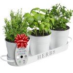 White Metal Herb Planters with Tray for Indoors Outdoors