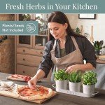 White Metal Herb Planters with Tray for Indoors Outdoors