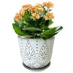 Set of 2 White Smoky Ceramic Plant Pots