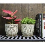 Set of 2 White Smoky Ceramic Plant Pots