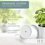 White Metal Herb Planters with Tray for Indoors Outdoors