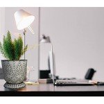 Set of 2 White Smoky Ceramic Plant Pots