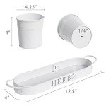 White Metal Herb Planters with Tray for Indoors Outdoors