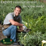 Monarch Rescue Wildflower Seeds with Gardening E-books