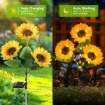 KOOPER Outdoor Decorative Solar Garden Lights