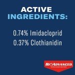 BioAdvanced Shrub Protect & Feed Insect Killer 32oz