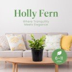 Holly Fern Live Plant - 1 Gallon Pot