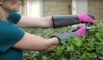 Thorn Resistant Long Sleeve Rose Gardening Gloves