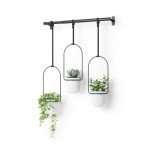 Stylish Set of 3 Indoor Hanging Planters