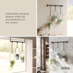 Stylish Set of 3 Indoor Hanging Planters