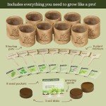9 Herb Indoor Window Garden Kit for Home