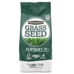 Pennington Kentucky 31 Tall Fescue Grass Seed 7 lb