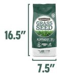 Pennington Kentucky 31 Tall Fescue Grass Seed 7 lb
