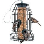 Squirrel-Proof Bird Feeder for Small Birds