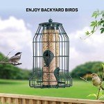 Squirrel-Proof Bird Feeder for Small Birds