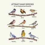 Squirrel-Proof Bird Feeder for Small Birds