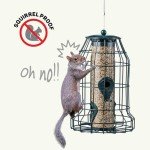 Squirrel-Proof Bird Feeder for Small Birds