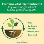 Miracle-Gro Shake 'N Feed All-Purpose Plant Food