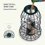 Squirrel-Proof Bird Feeder for Small Birds