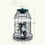 Squirrel-Proof Bird Feeder for Small Birds