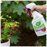Garden Safe Multi-Purpose Ready-to-Use Insect Killer
