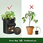 Cavisoo 10 Gallon Potato Grow Bags - 5 Pack