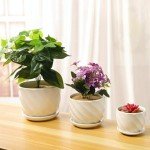 Set of 3 Modern White Ceramic Plant Pots