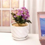 Set of 3 Modern White Ceramic Plant Pots