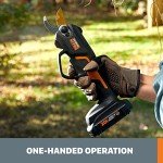 Worx 20V Nitro Pruning Shear and Lopper
