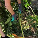 Garden Gloves for Men and Women - 2 Pairs