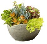 12" Classic Arc Pot for Home and Garden