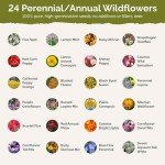 Florida Wildflower Seed Mix for Attracting Pollinators