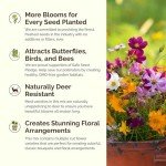 Florida Wildflower Seed Mix for Attracting Pollinators
