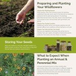 Florida Wildflower Seed Mix for Attracting Pollinators